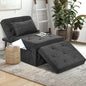 Bocanegra 73'' Length 4-in-1 Multi-function Convertible Folding Sofa Bed Ottoman