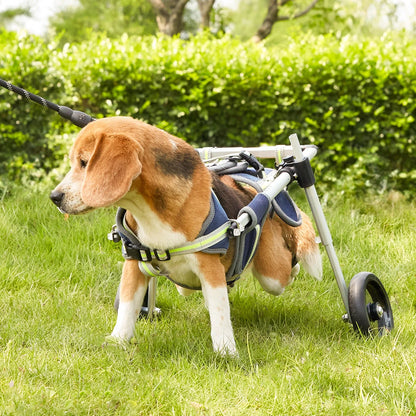 Foldable Pet Wheels Dog Wheelchair