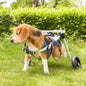 Foldable Pet Wheels Dog Wheelchair